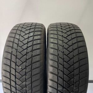 Opony Zima GT Radial WInterPro2 205/55R16 Adax Koźle